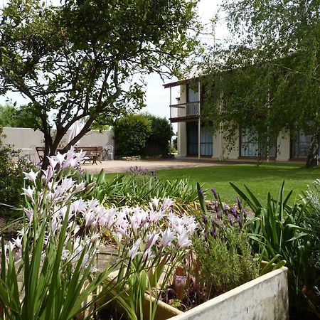 פנולה Coonawarra Motor Lodge מראה חיצוני תמונה