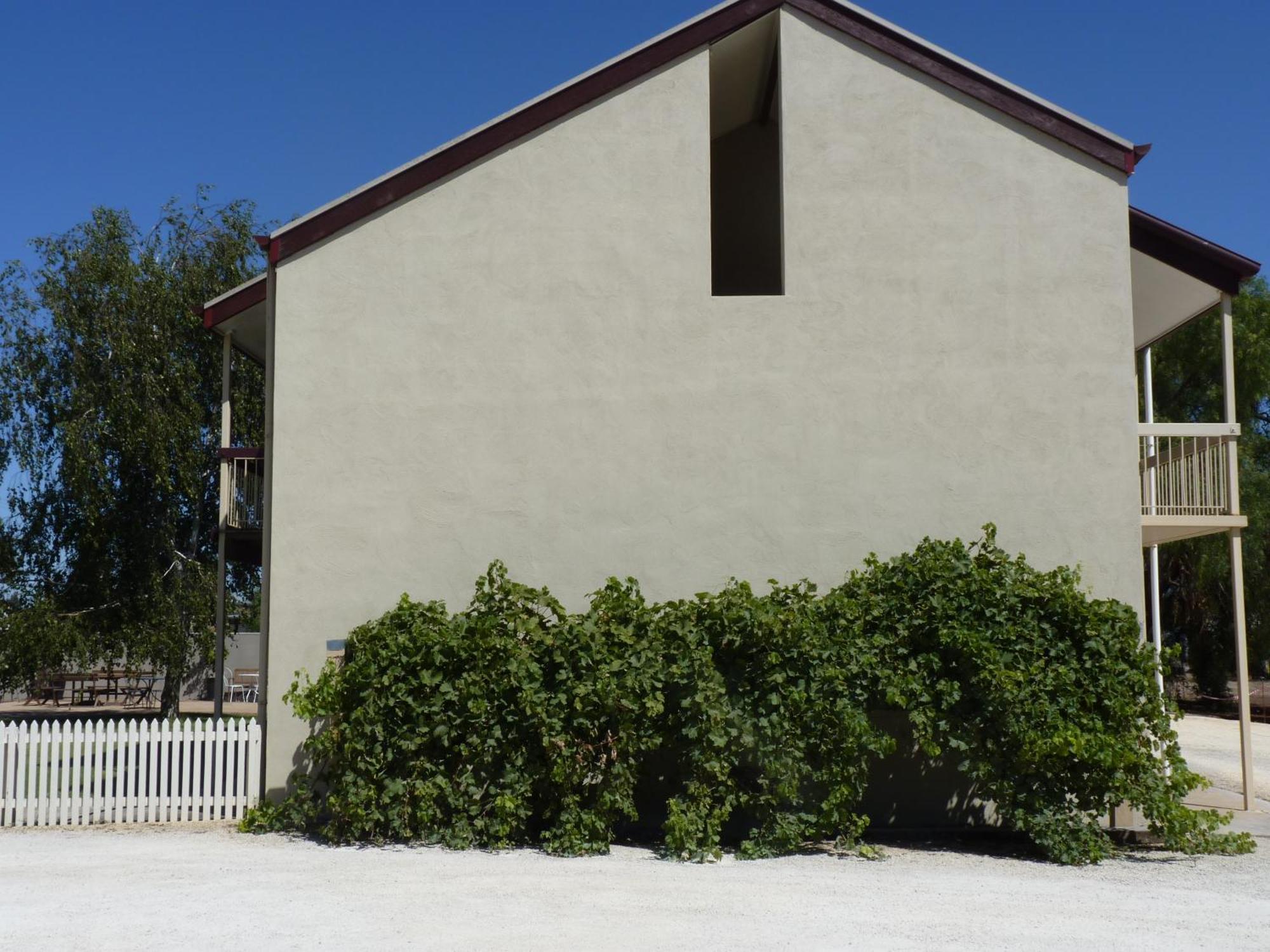 פנולה Coonawarra Motor Lodge מראה חיצוני תמונה