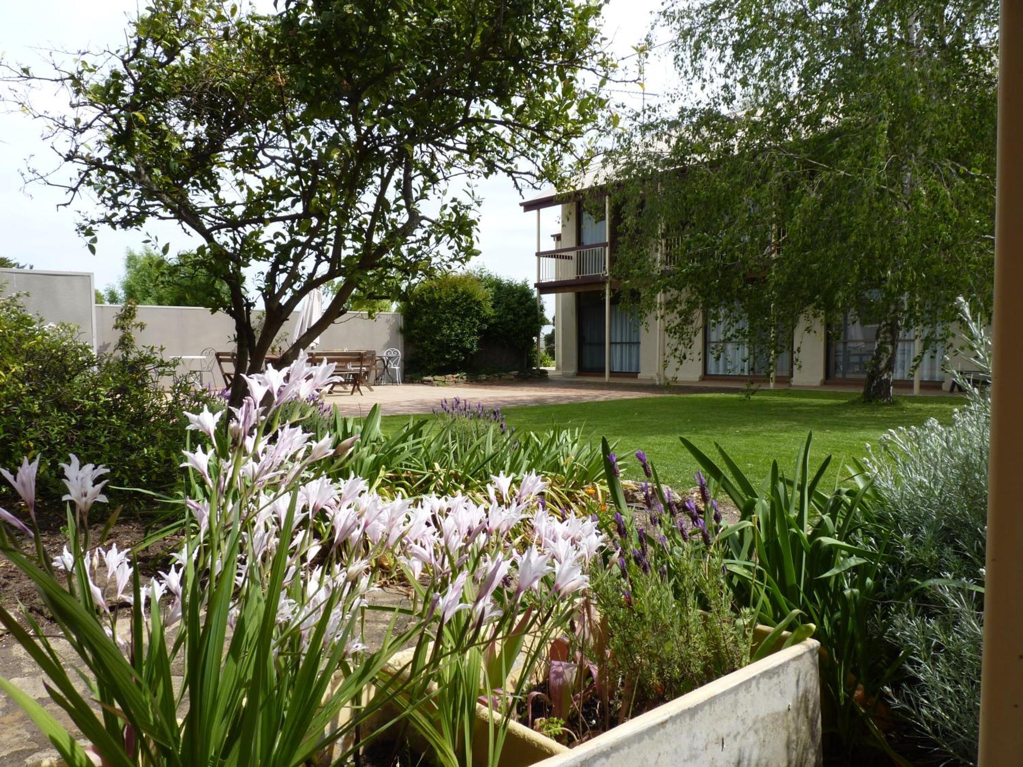 פנולה Coonawarra Motor Lodge מראה חיצוני תמונה