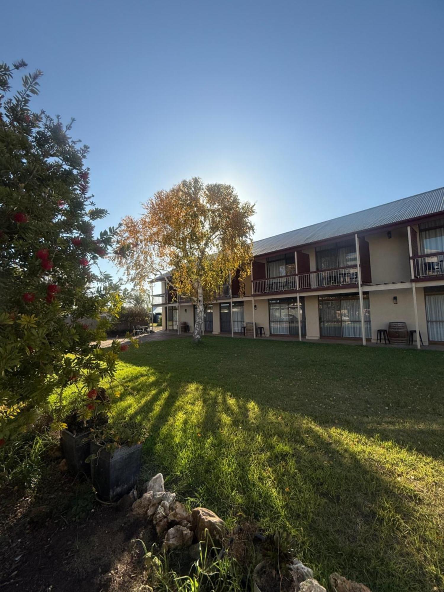 פנולה Coonawarra Motor Lodge מראה חיצוני תמונה