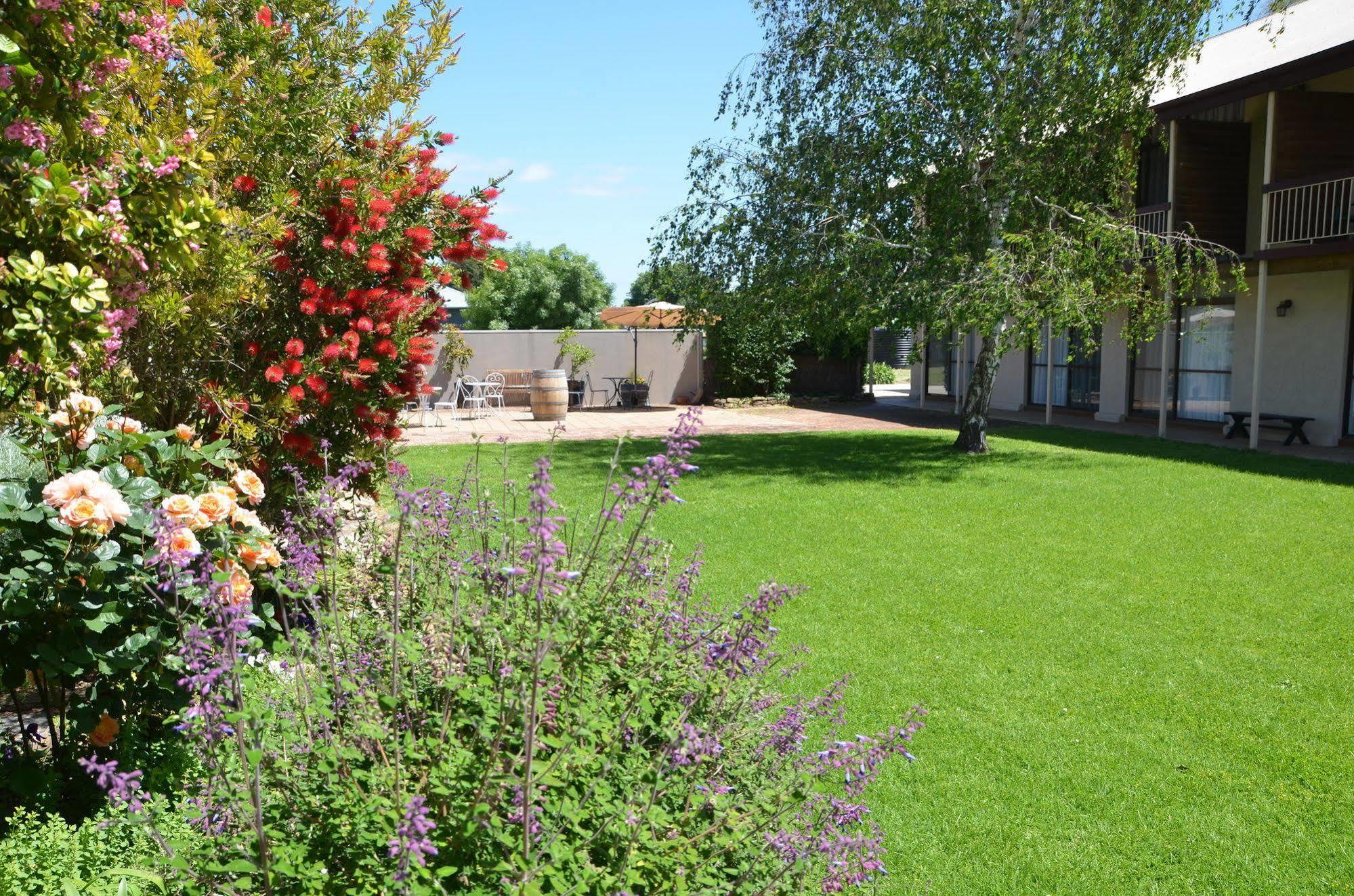 פנולה Coonawarra Motor Lodge מראה חיצוני תמונה